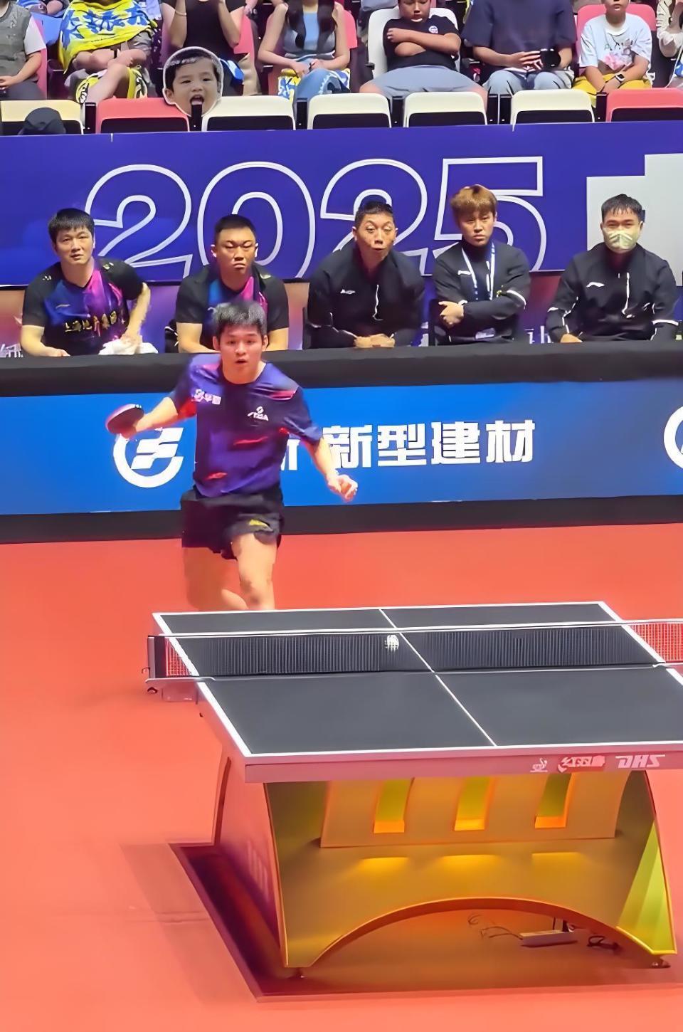 包含波兰队碾压日本队，许昕高光表现的词条