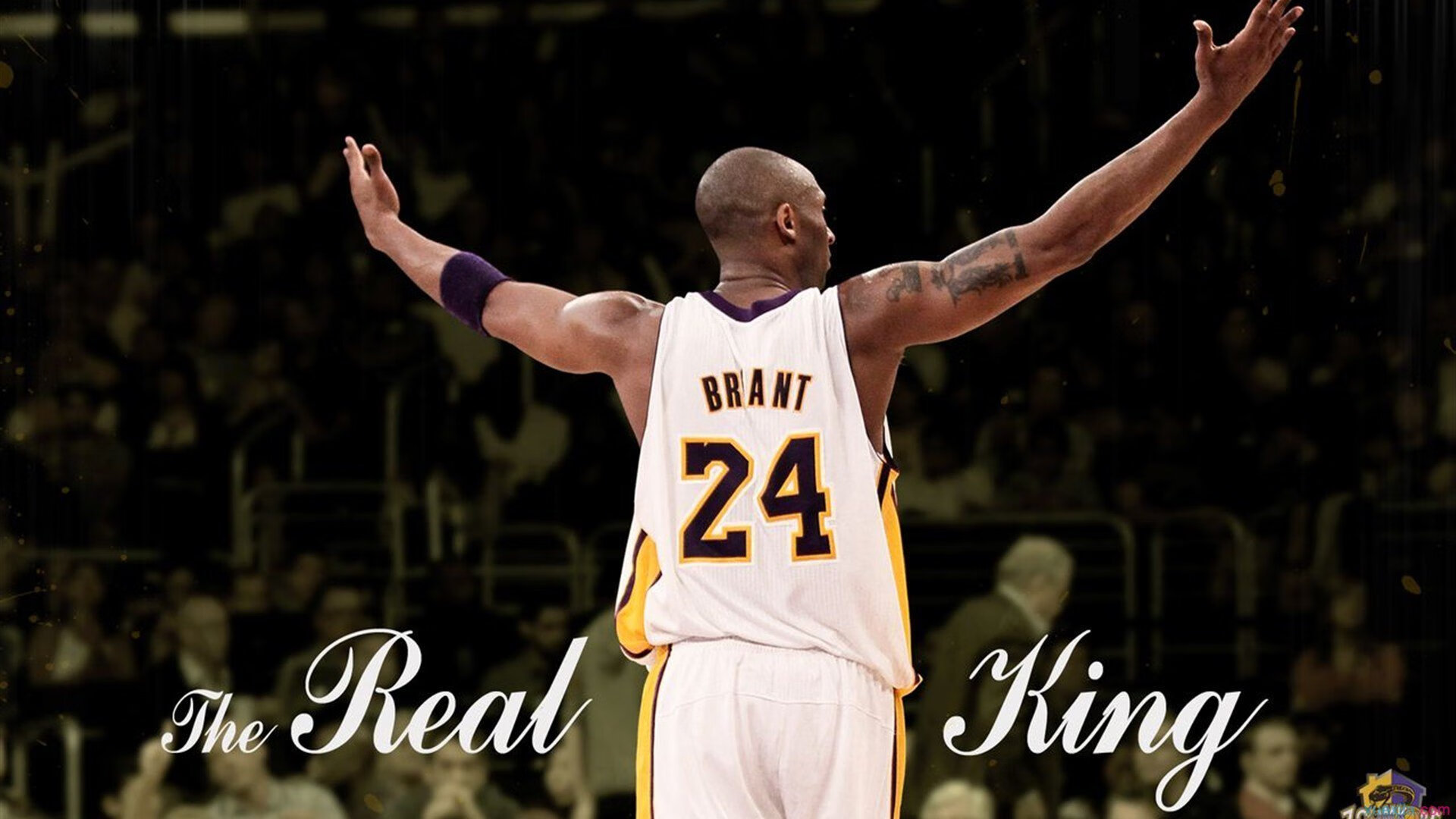 黄鸭组合制胜一击，韩国队力克法国队改写历史